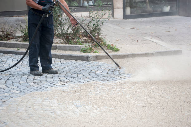 Best Sidewalk and Walkway Cleaning  in Grapevine, TX